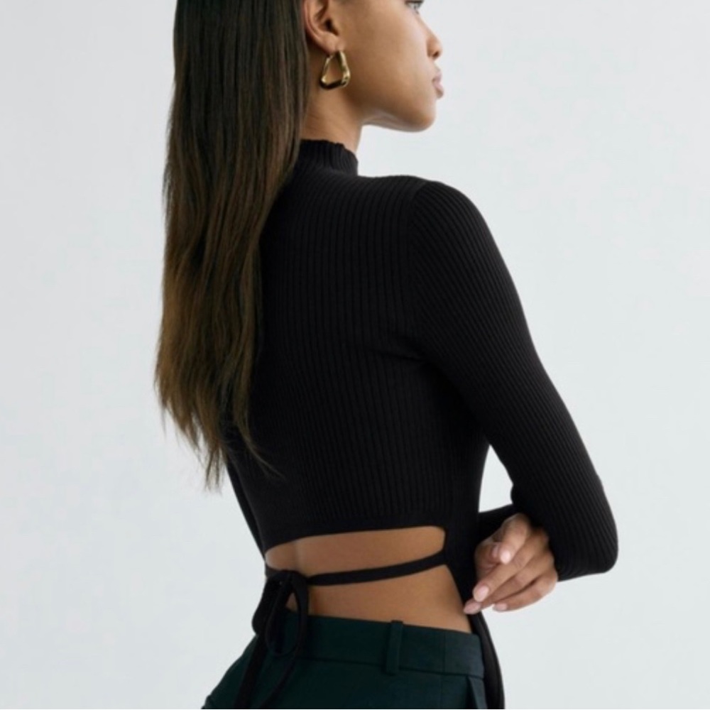 Aritzia Ambrosia Top